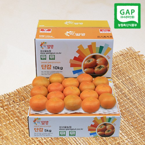 고당도 밀양 햇 단감 5kg (특_선물용)
