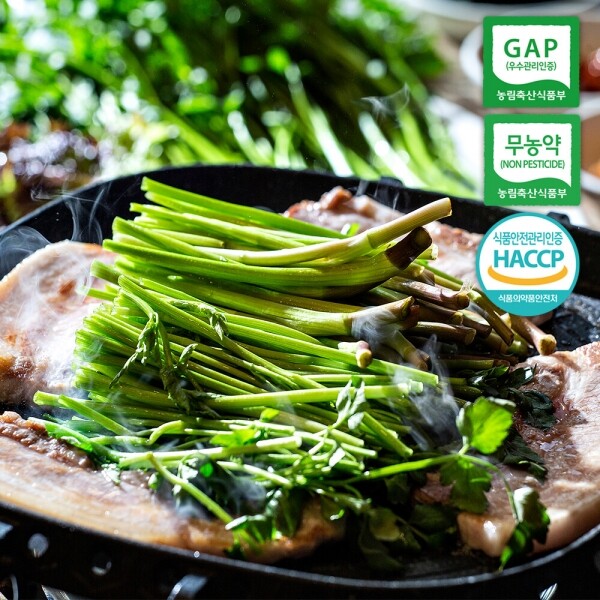해맑은상상 밀양팜,[월간밀양]3월 친환경미나리500g+한돈삼겹살(목살)500g,{밀양물산 주식회사}