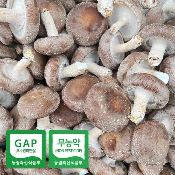 해맑은상상 밀양팜,송옥농장 무농약 생 표고 버섯 1kg,2kg,{밀양물산 주식회사}