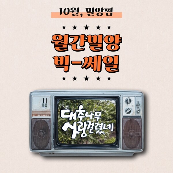 해맑은상상 밀양팜,[월간밀양]10월 대추나무사랑걸렸네 대추 3종 세트 ★회원할인쿠폰★,{밀양물산 주식회사}
