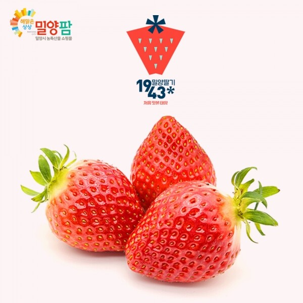 해맑은상상 밀양팜,[월간밀양]2월 밀양딸기1943 선물세트 (설향/금실 750g내외),{밀양물산 주식회사}