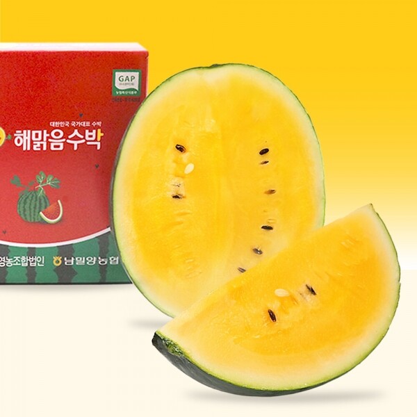 해맑은상상 밀양팜,[예약주문] 속이 노란 고당도 해맑음 미니 망고수박 (5월 12일부터 순차발송),{밀양물산 주식회사}