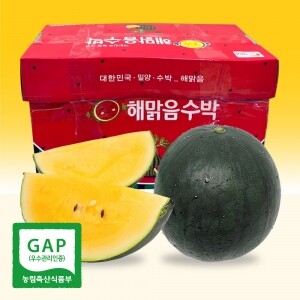 [출시기념 할인] 속이 노란 고당도 해맑음 미니 망고수박 2구