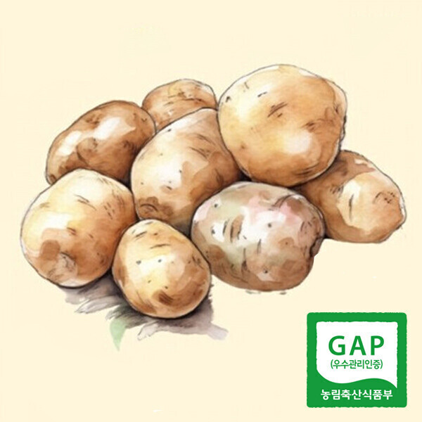 해맑은상상 밀양팜,2025년 밀양 햇 수미 감자 5kg/10kg,{밀양물산 주식회사}
