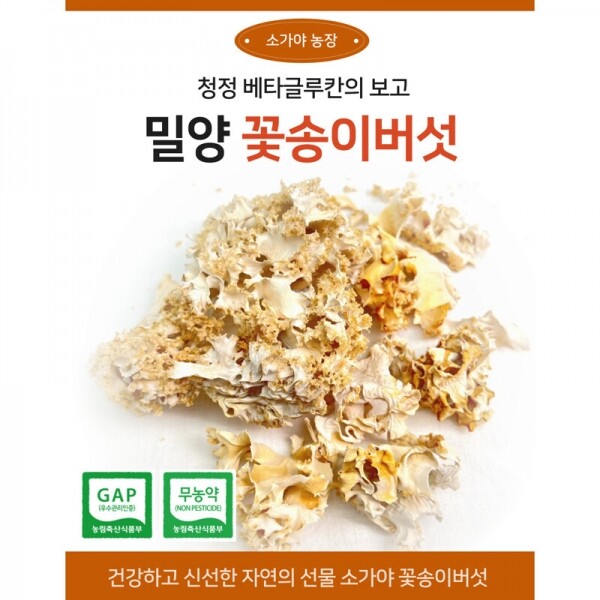 해맑은상상 밀양팜,무농약 꽃송이 버섯 베타글루칸 생 건조 분말,{밀양물산 주식회사}