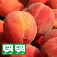 [예약주문] 올해 첫 복숭아 고당도 프리미엄 그린황도 2.5kg