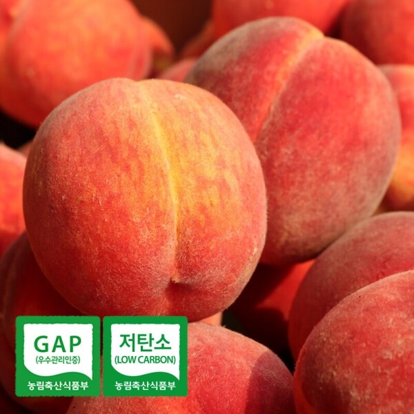 해맑은상상 밀양팜,[예약주문] 올해 첫 복숭아 고당도 프리미엄 그린황도 2.5kg,{밀양물산 주식회사}