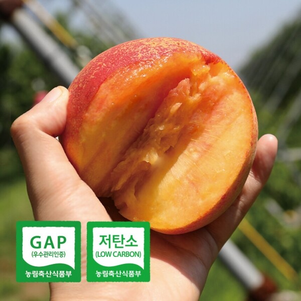 경남 밀양 고당도 프리미엄 금황황도 3kg/밀양황도 3kg