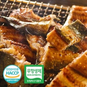 얼음골 암반수로 키운 국내산 민물 무태 장어 1kg 밀키트 손질 간편식 구이