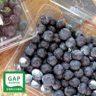 국산 블루베리 생과 대과/특대과 1kg