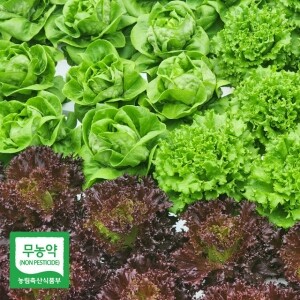 친환경 유럽형 샐러드 상추 1.8kg(4~8종) 유러피안 쌈 채소 무농약 인증