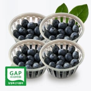 경남 밀양 생블루베리 블루베리생과 (14mm,400g부터)