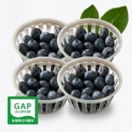 경남 밀양 생블루베리 블루베리생과 (14mm,400g부터)