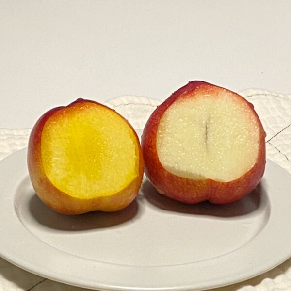 해맑은상상 밀양팜,신선복숭아 신비복숭아 2kg 고당도 산지직송,{밀양물산 주식회사}
