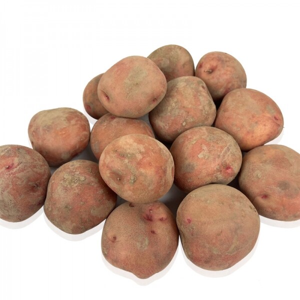 [밀양물산주식회사]밀양 서홍 감자