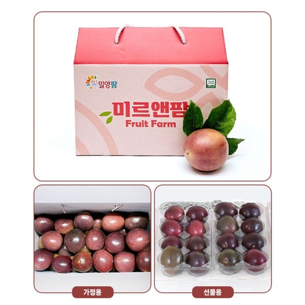해맑은상상 밀양팜,친환경 국내산 백향과 대과 2kg 국산 무농약 패션후르츠 생과,{밀양물산 주식회사}