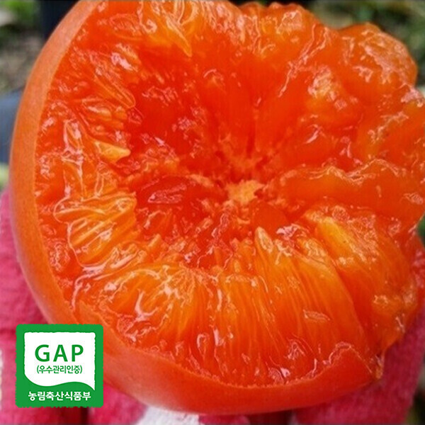 해맑은상상 밀양팜,사르르 녹는 부드러운 씨 없는 밀양 반시 감 5kg,{밀양물산 주식회사}