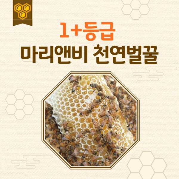 마리앤비 친환경 꿀 아카시아 밤 벌꿀