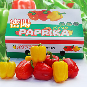 [성결농원]농장에서 방금딴 싱싱한 파프리카3kg(월,수,금 발송)