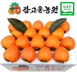 [감고을농원]대봉감 5kg(특품)